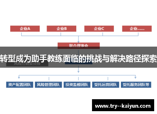 转型成为助手教练面临的挑战与解决路径探索