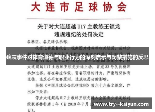 魏震事件对体育道德与职业行为的深刻启示与罚禁措施的反思
